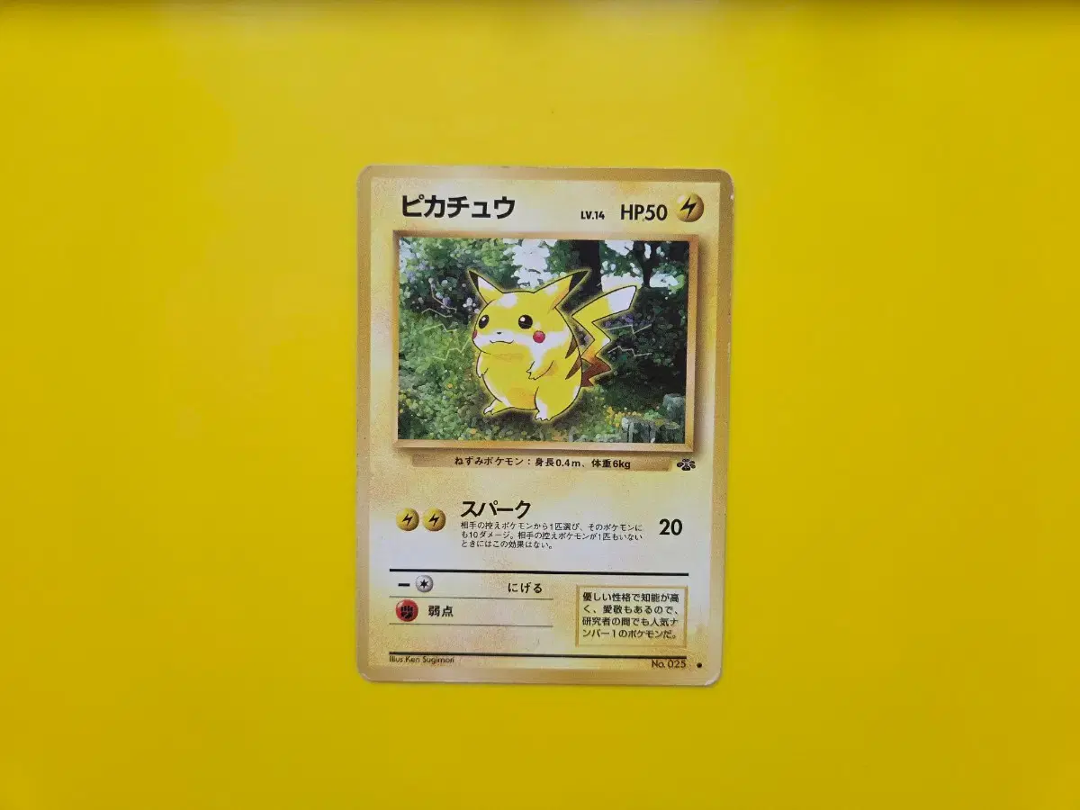 thumbnail-8